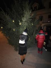 Mirna, prizig luck, foto EZ (11)